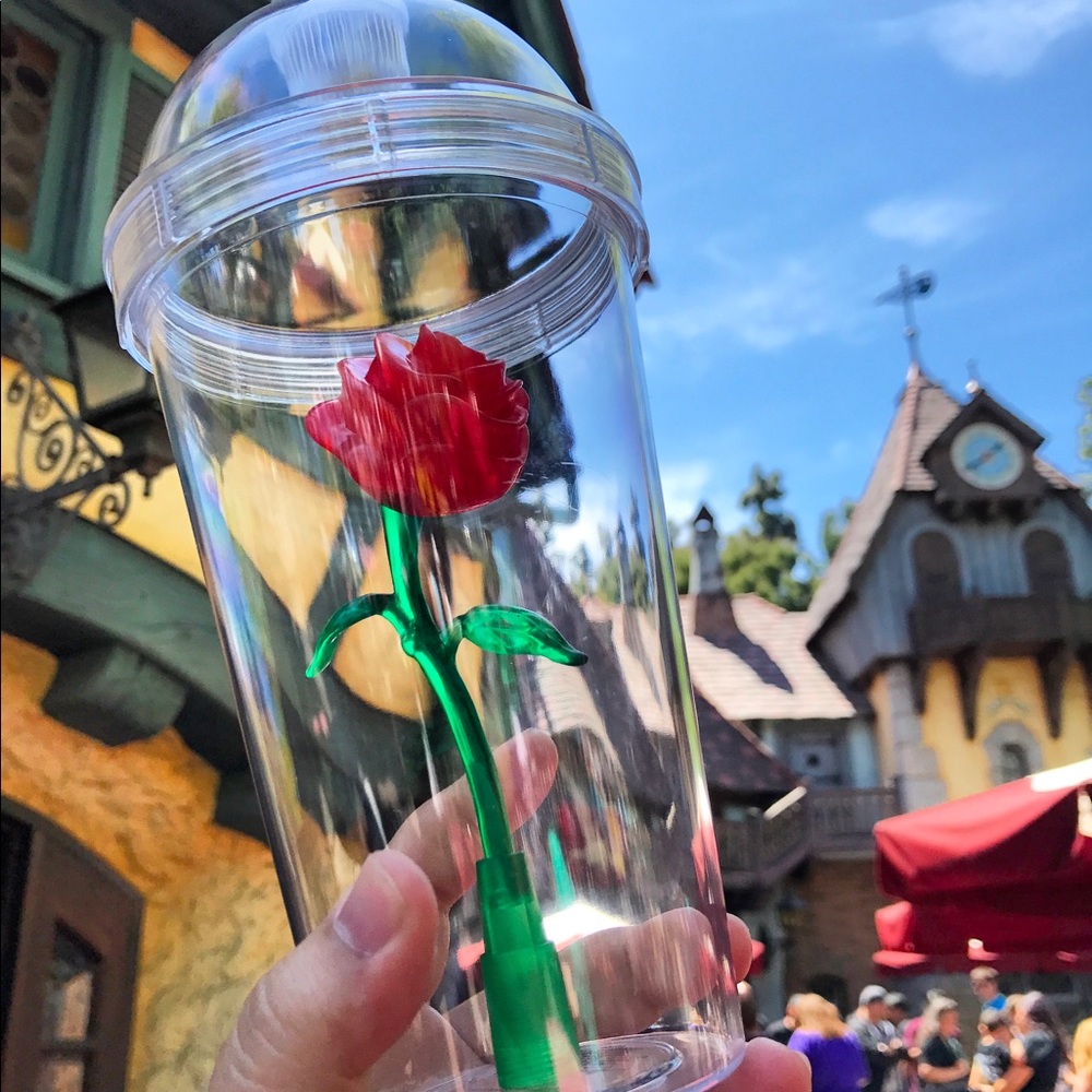 Beauty and the beast disneyland tumblers