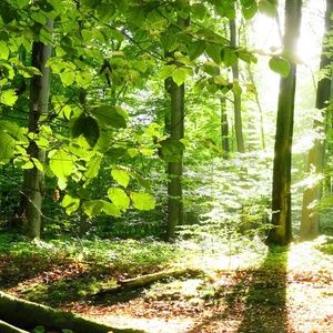 Meet your Posher, Ellen