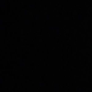 Meet your Posher, Zeke