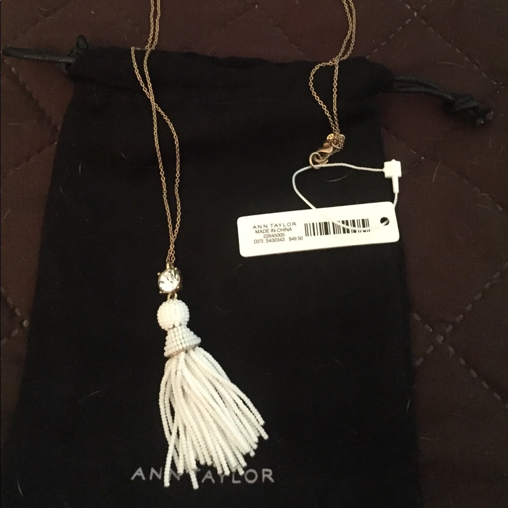 Ann Taylor new never worn long necklace