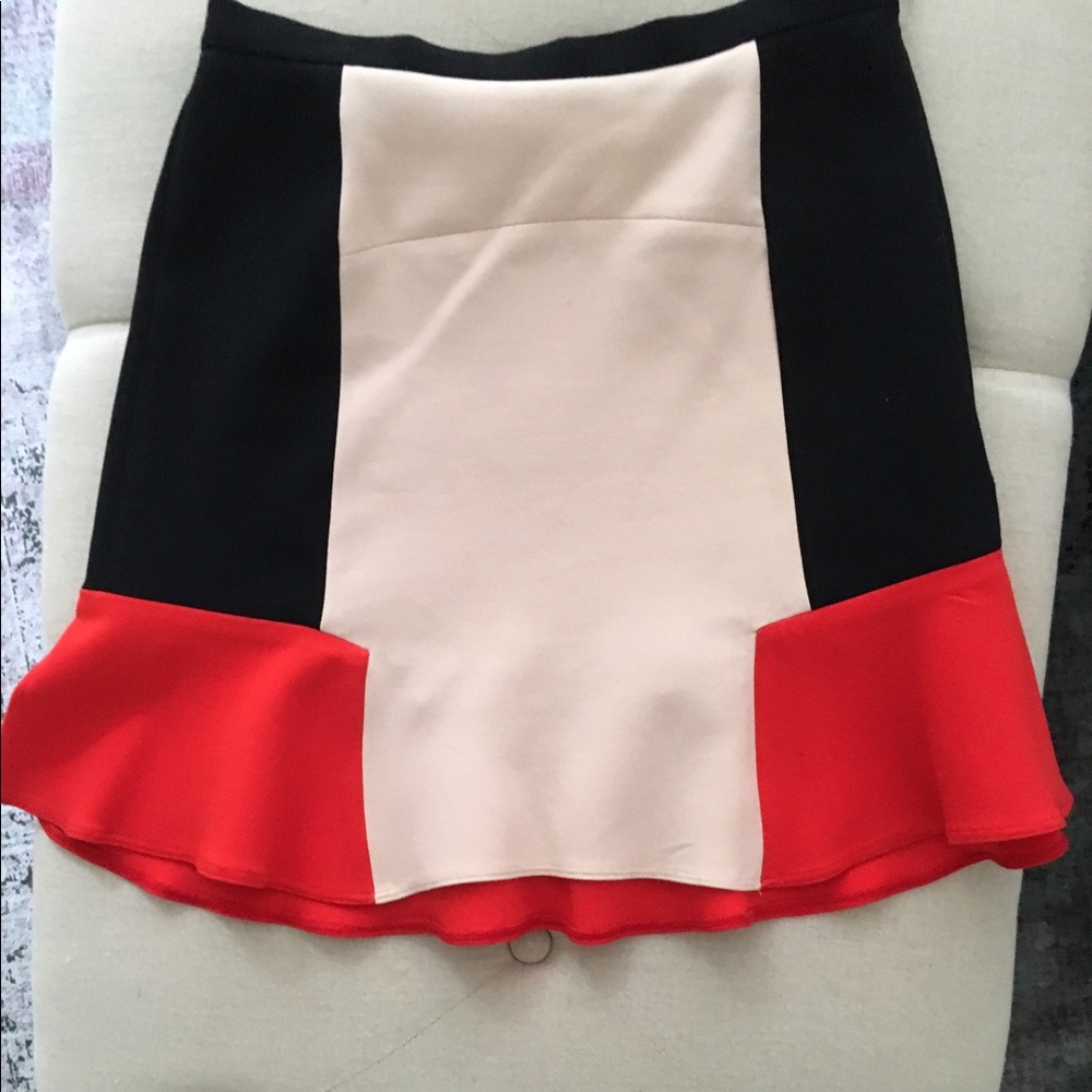 Zara colorblock skirt