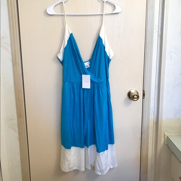 (1X) Plus Size Color Block Dress - Picture 4 of 5