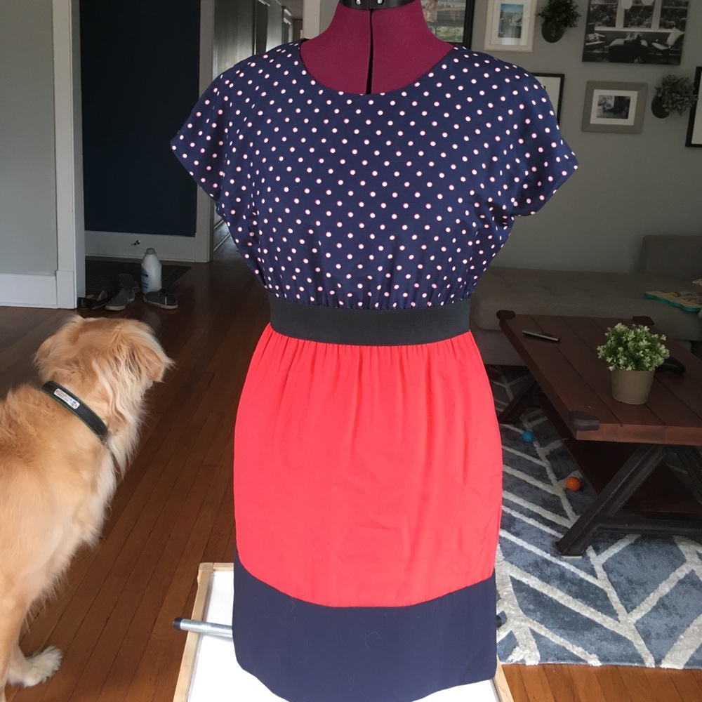 Zara dress