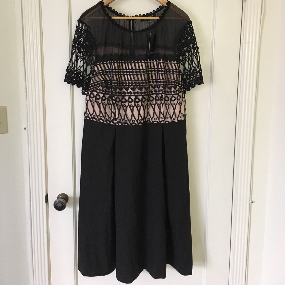 Black Eloquii fit and flare dresses, Never worn