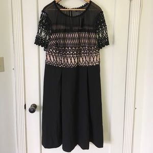 Black Eloquii fit and flare dresses, Never worn