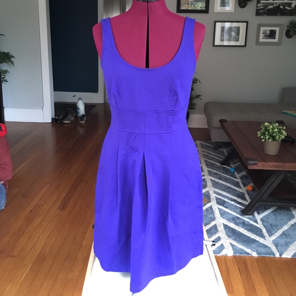 LOFT Periwinkle Dress