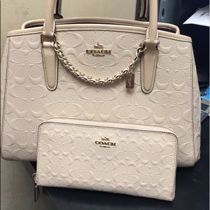 Coach Margot Carryall Leather Platinum Satchel