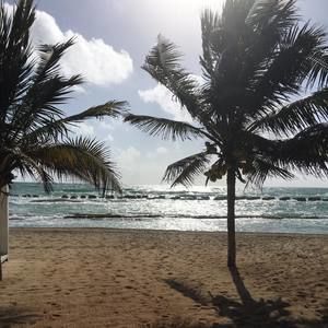 Meet your Posher, Danelle