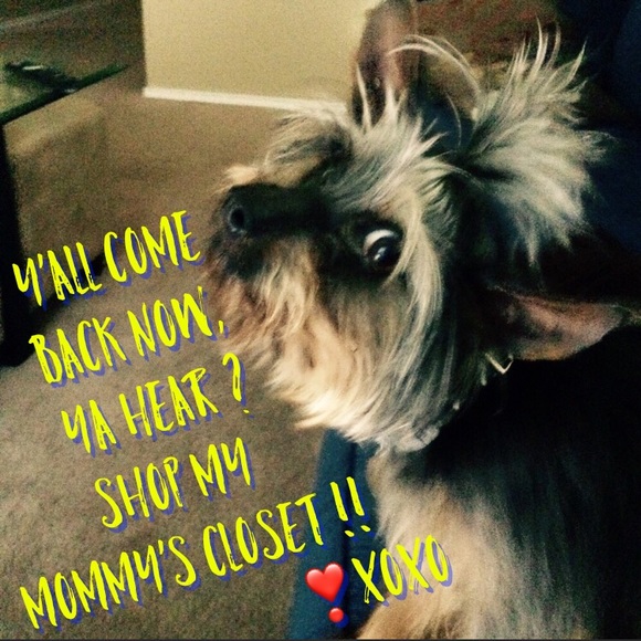 Meet Your Sassy Stylist, Ambassador PrincessCam! - Picture 5 of 8