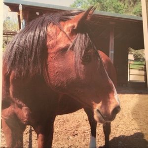 Meet your Posher, Patricia