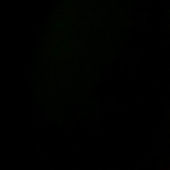 Meet your Posher, Aaliyah - Picture 1 of 1