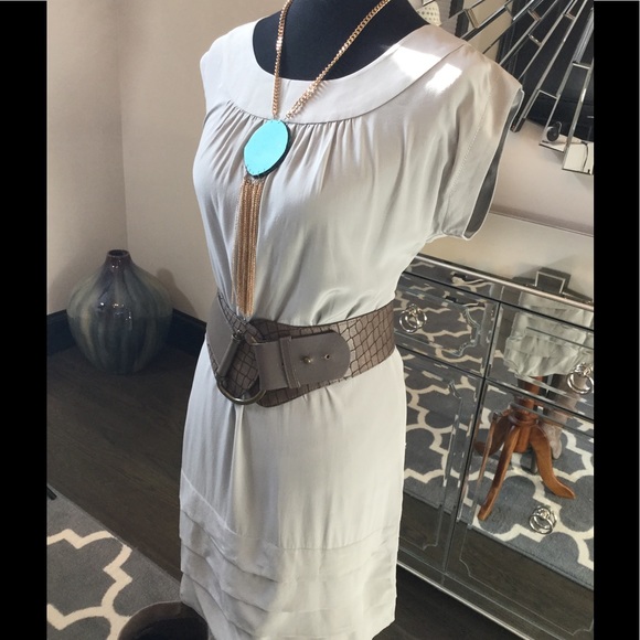 Firm Sale🔥🔥Talula Babaton Grey Silk Shift Dress - Picture 4 of 7