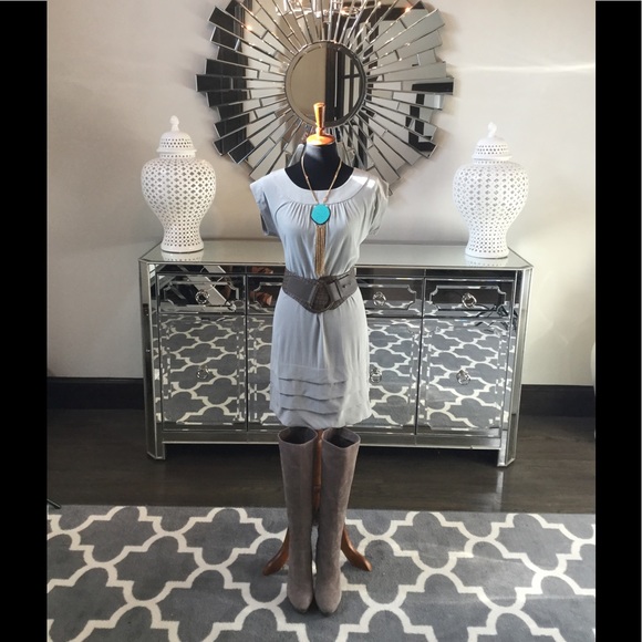 Firm Sale🔥🔥Talula Babaton Grey Silk Shift Dress - Picture 7 of 7