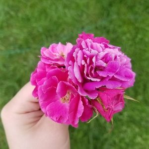 Meet your Posher, Priscila