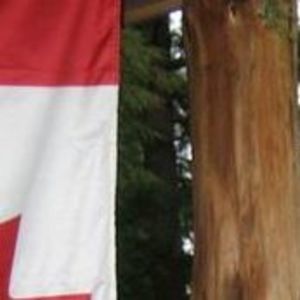 Meet your Posher, Margo