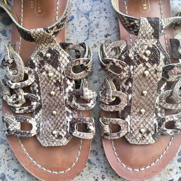 Coach Studded Python Gladiator Sandal - Picture 3 of 5