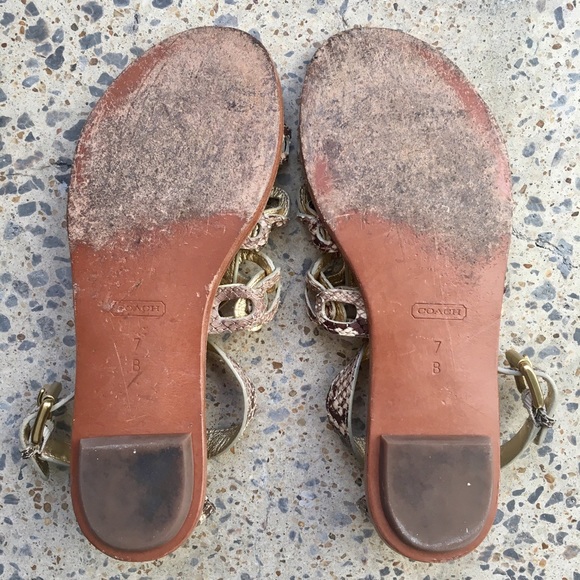 Coach Studded Python Gladiator Sandal - Picture 4 of 5