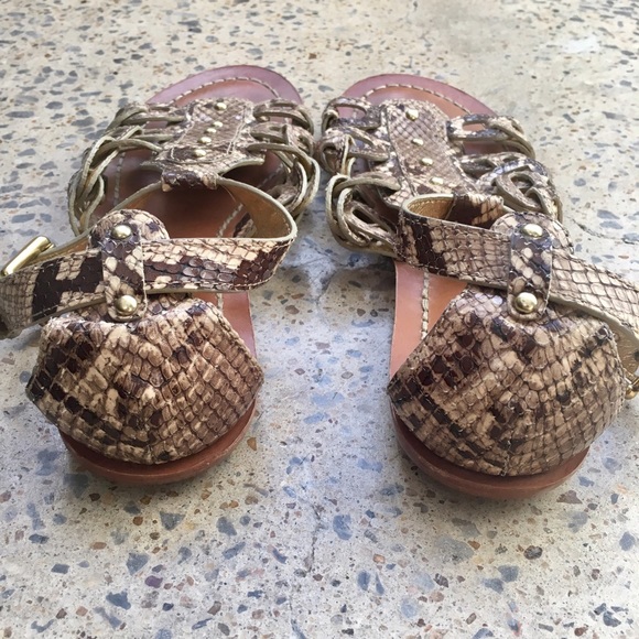 Coach Studded Python Gladiator Sandal - Picture 5 of 5