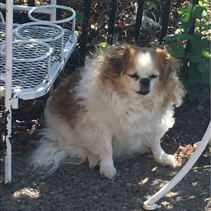 Meet your Posher, Terry