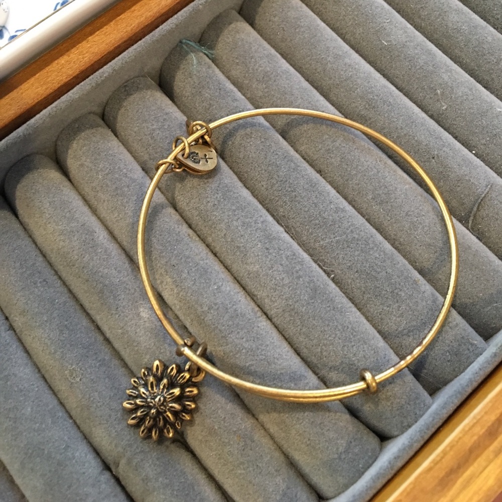 Alex & Ani bracelet