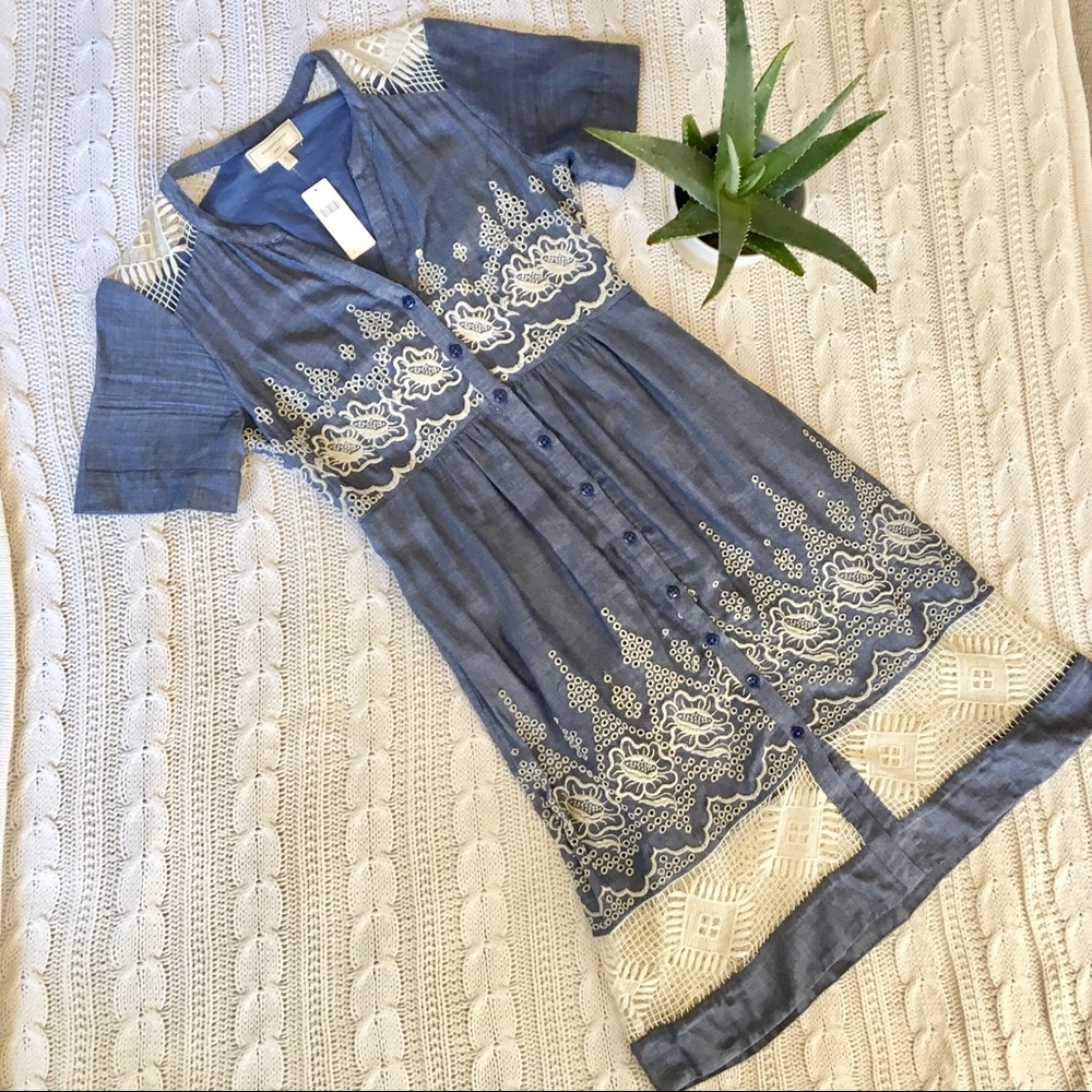 Anthropologie Delicate Denim Dress!