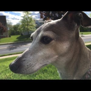 Meet your Posher, Amy