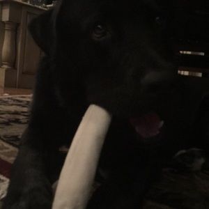 Meet your Posher, Rylee