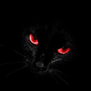 Meet your Posher, Rashawna