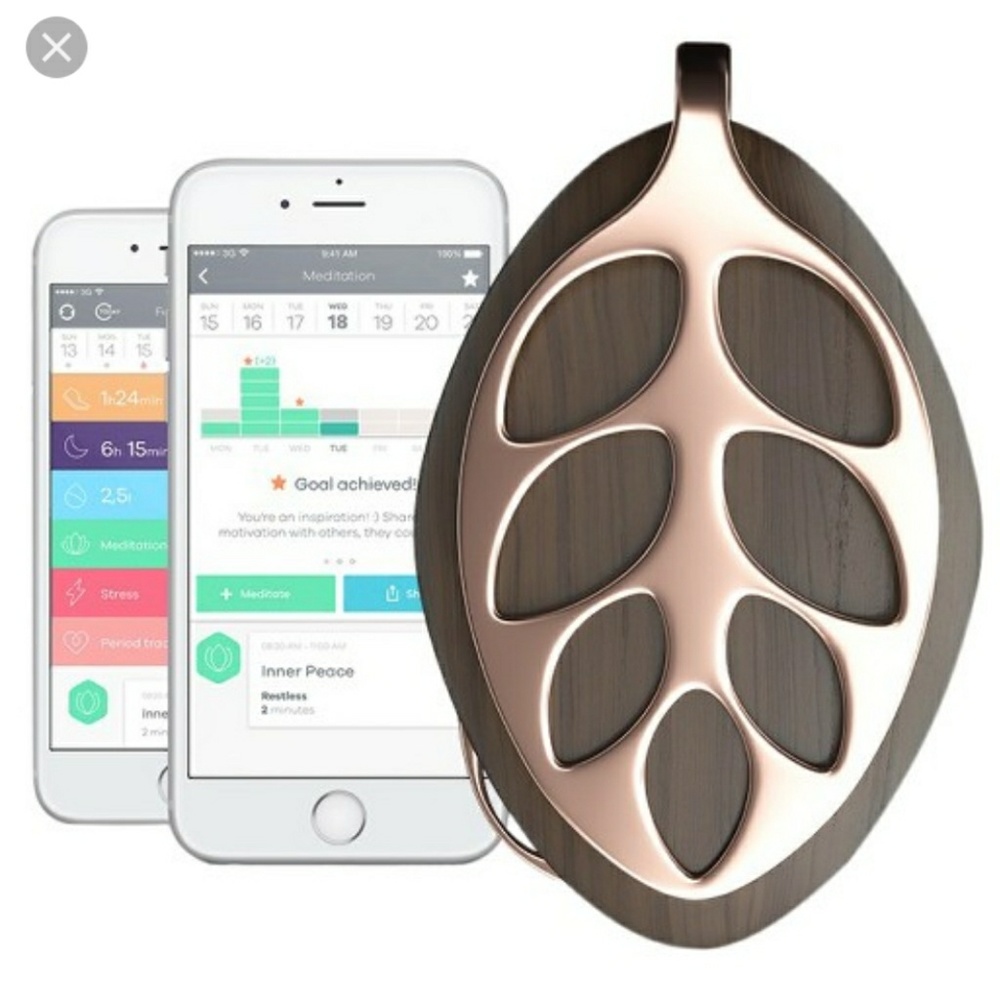 Bellabeat Leaf Nature