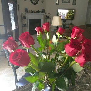 Meet your Posher, Louise