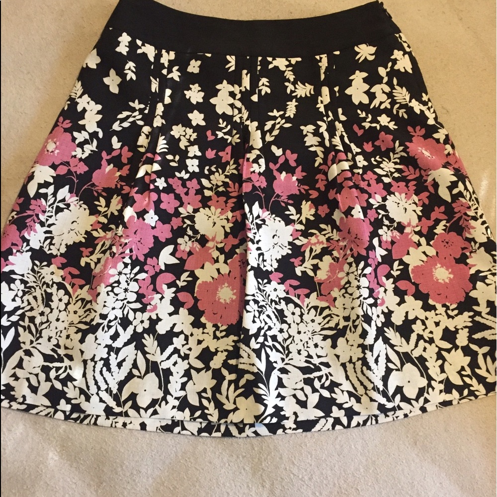 Ann Taylor skirt