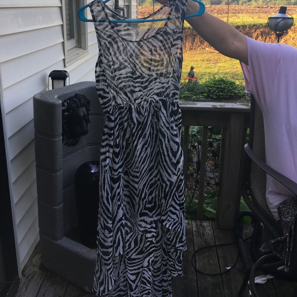 adorable sheer zebra design dress