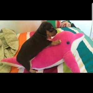 Meet your Posher, Leonor