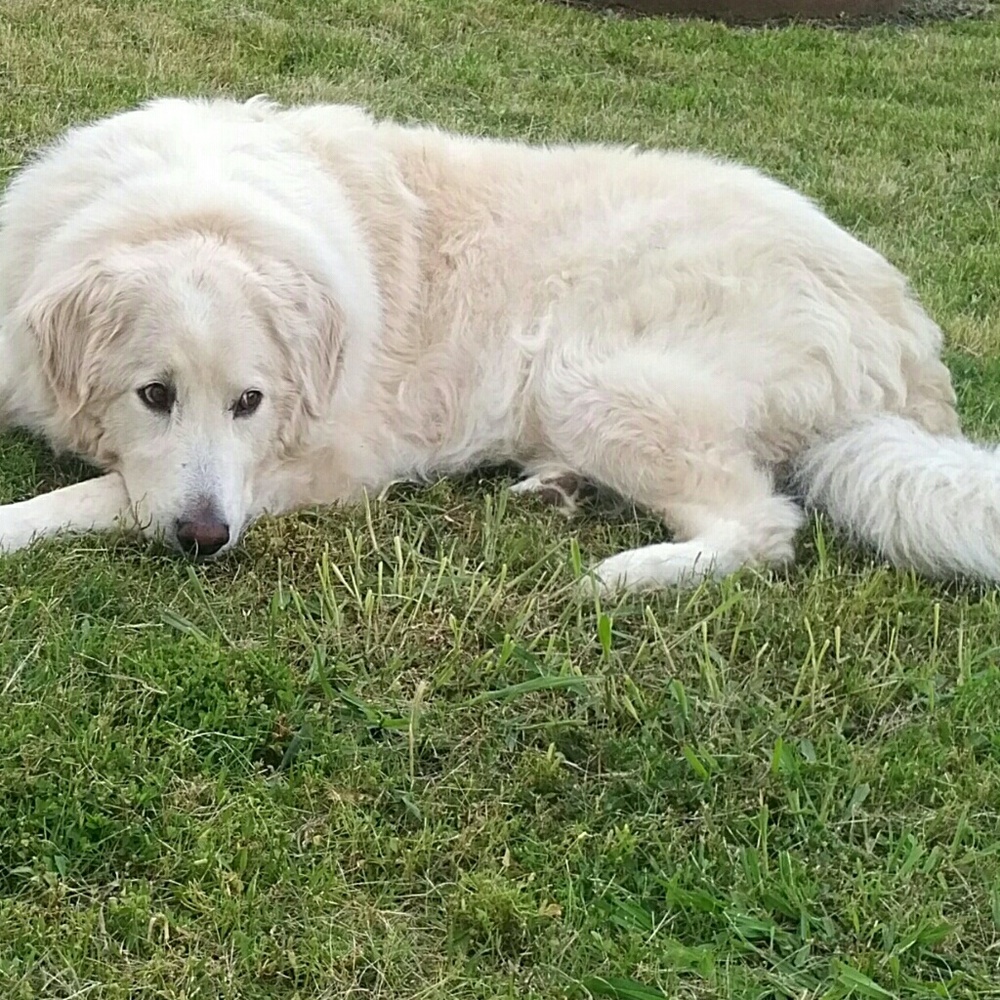 Meet your Posher, Ronda