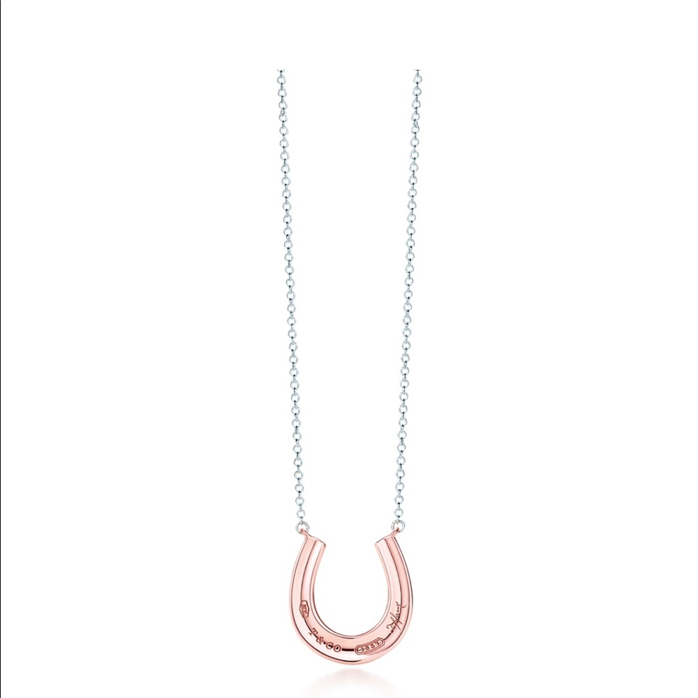 Genuine Tiffany & Co 1837 horseshoe necklace