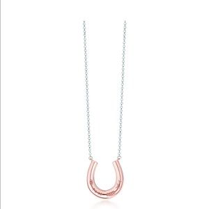 Genuine Tiffany & Co 1837 horseshoe necklace