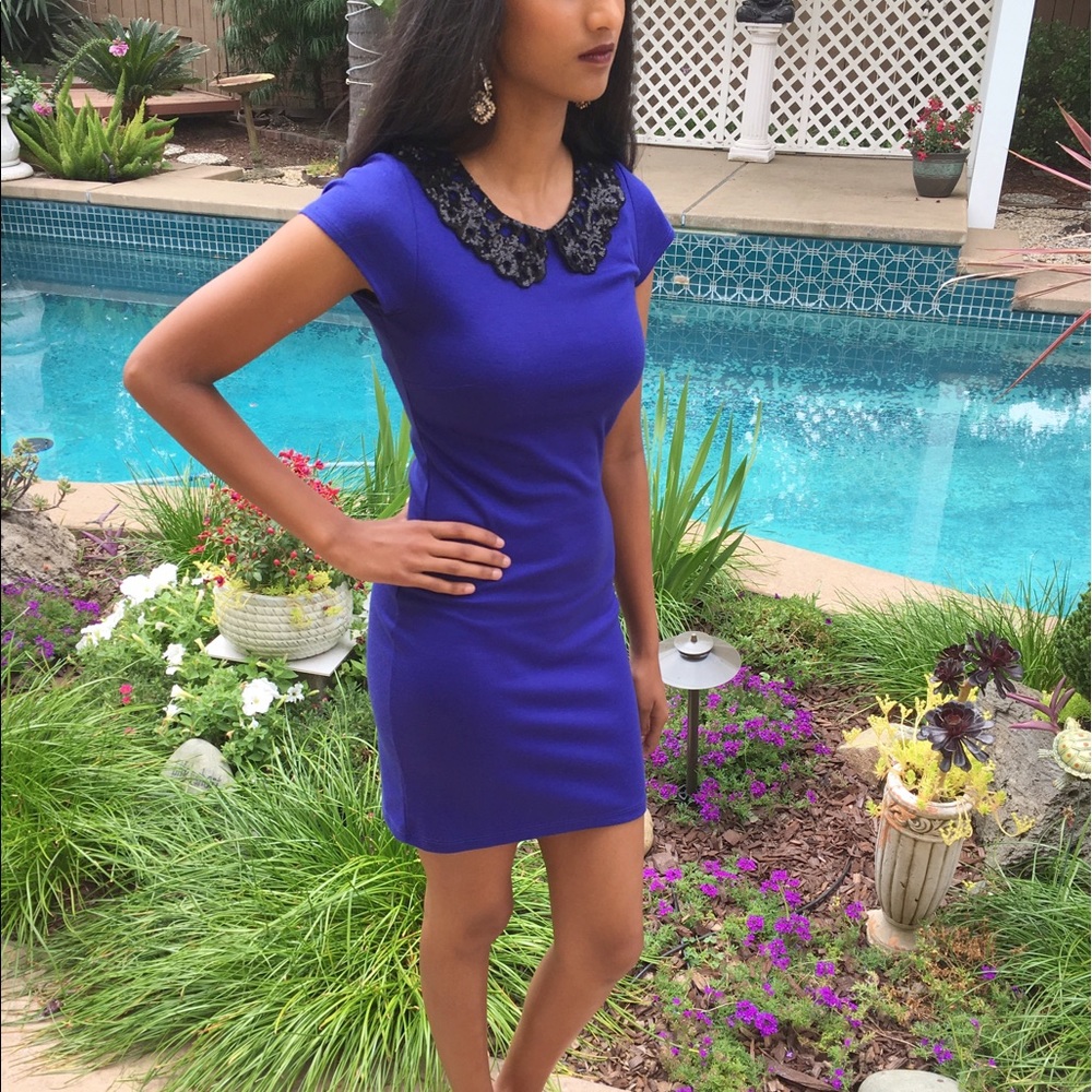 Blue Bodycon Dress with French Collar