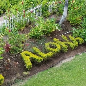 Meet your Posher, Iris