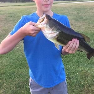 Meet your Posher, Nicholas