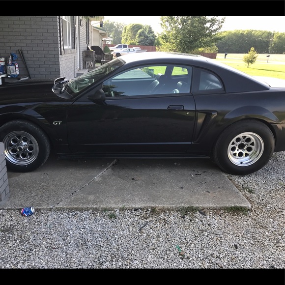 Meet your Posher, David - Picture 1 of 1