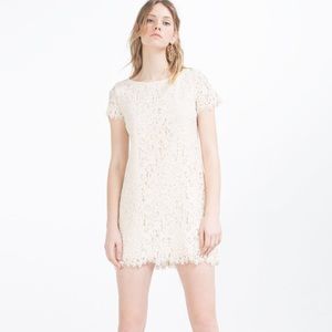 Zara White Lace Dress