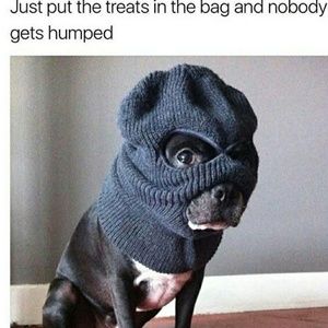 Meet your Posher, Lavarr