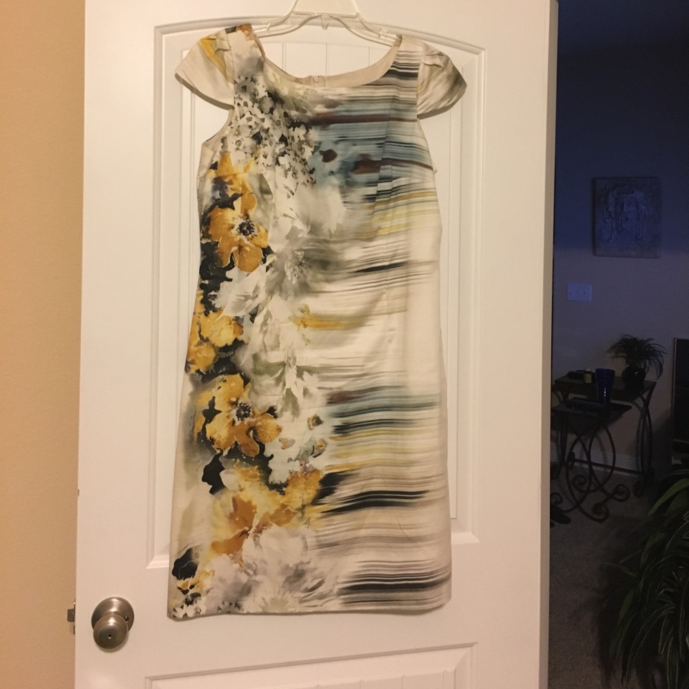 Dress W/lining