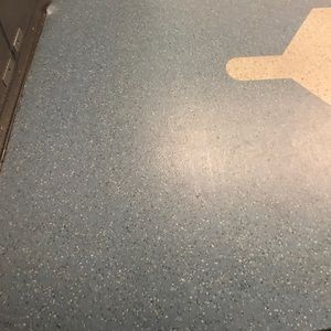 Meet your Posher, Michelle-lauren