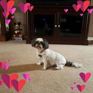 Meet your Posher, Cindy