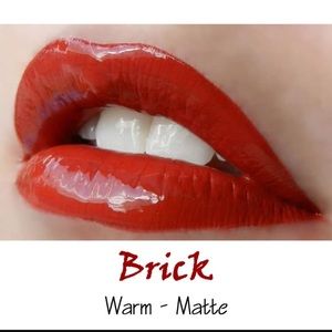 💋Brick Lipsense💋