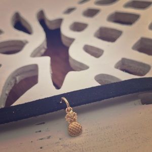 🆕Pineapple Choker