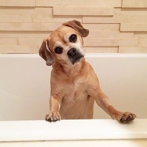 Meet your Posher, Mindy