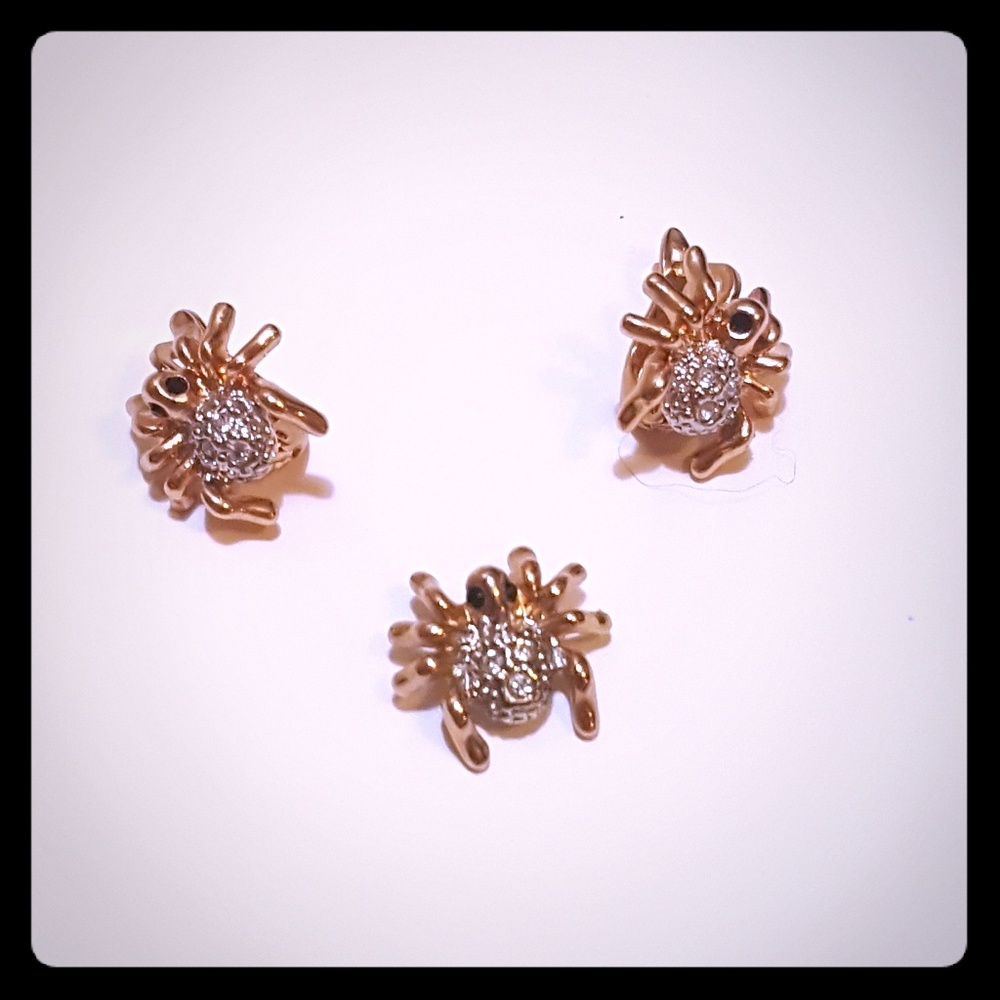 ❤️Spider earrings and pendant set