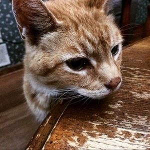 Meet your Posher, Steph